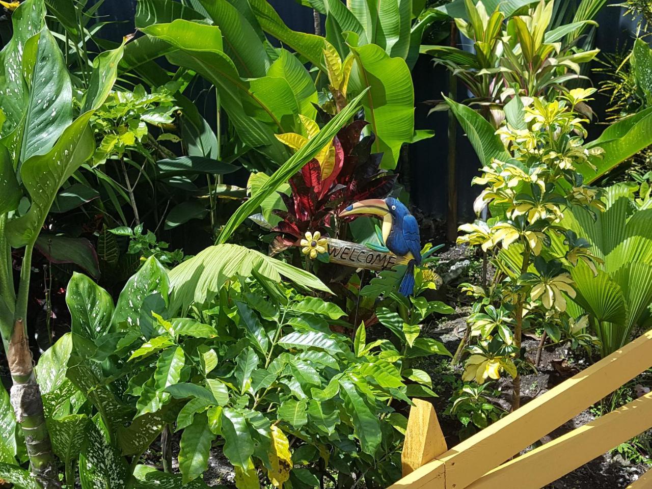 Red Frog Hotel La Fortuna Extérieur photo
