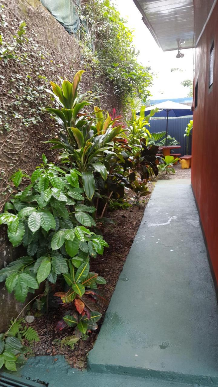 Red Frog Hotel La Fortuna Extérieur photo
