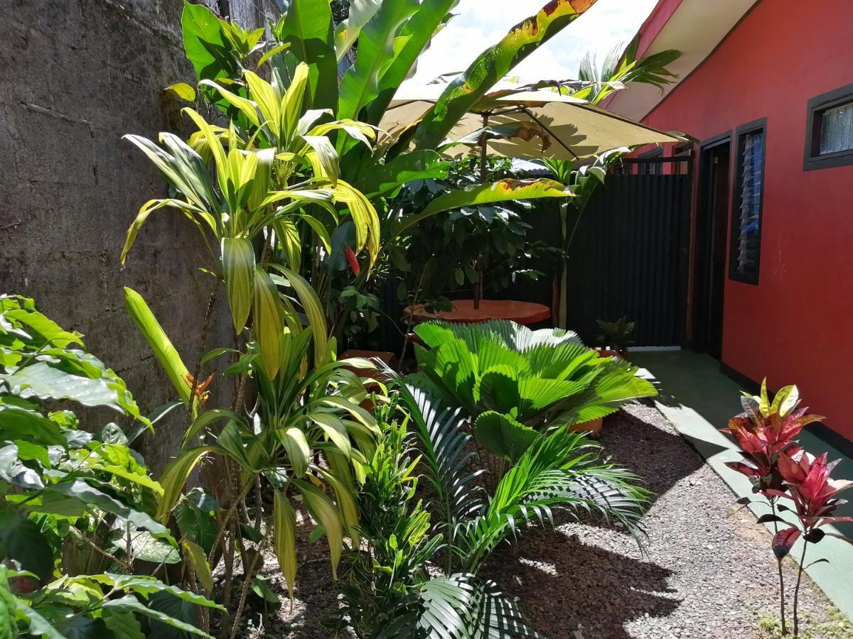 Red Frog Hotel La Fortuna Extérieur photo