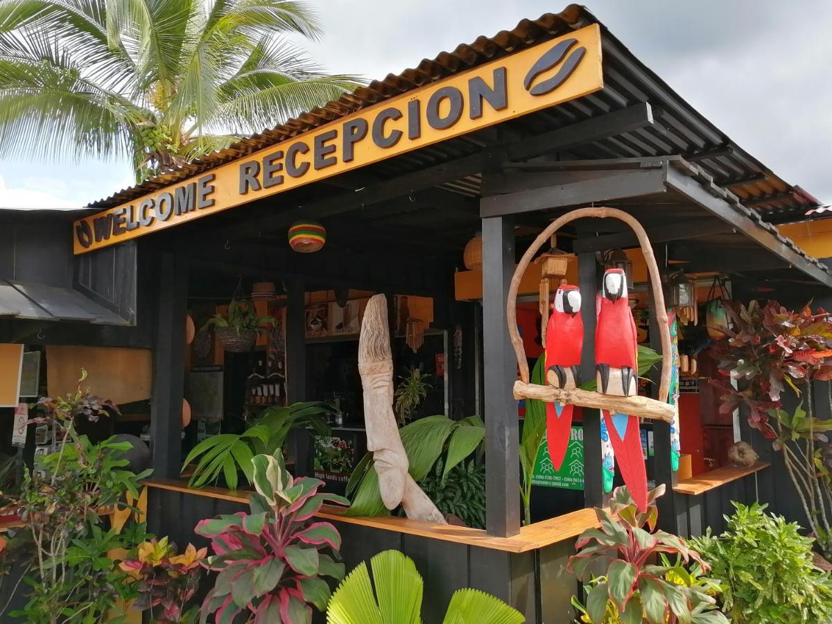 Red Frog Hotel La Fortuna Extérieur photo